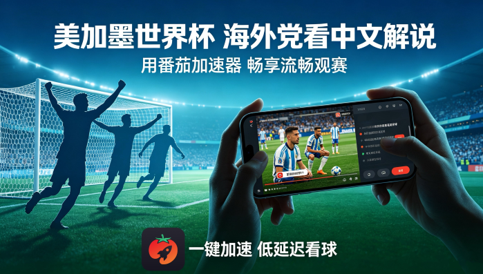 在澳大利亚看央视频世界杯中文直播当前IP受限制教程